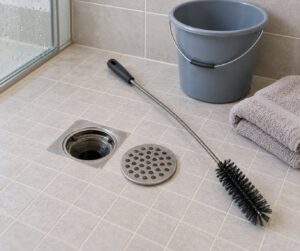 how to get rid of drain flies in a shower