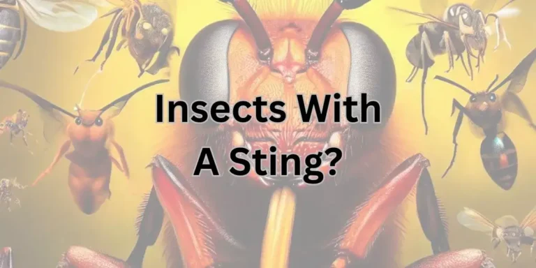 Discover 16 Insects With A Sting: Buzzing Nature’s Secrets