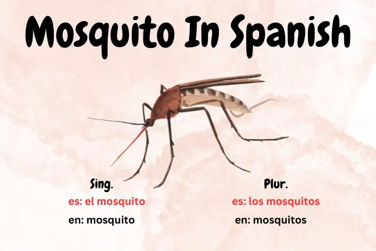 how do you say mosquito in spanish
