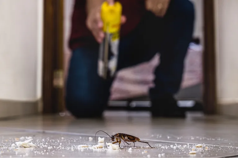 how does cockroach poison work