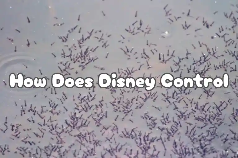how does disney control mosquitoes