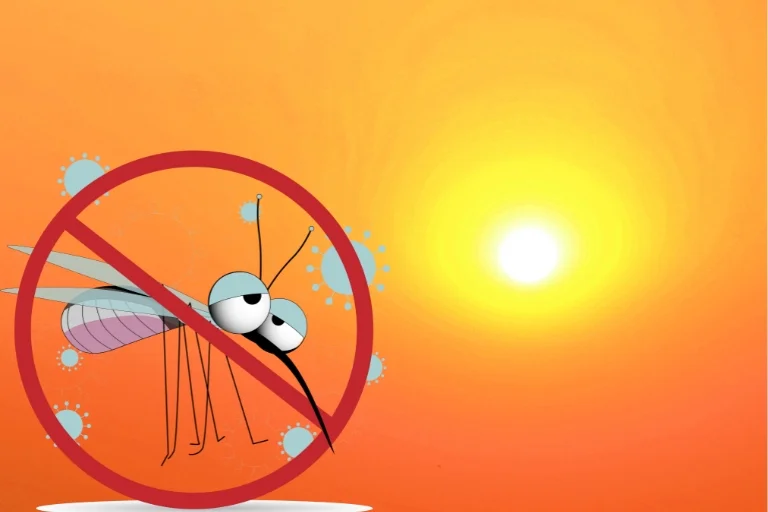 how hot is too hot for mosquitoes