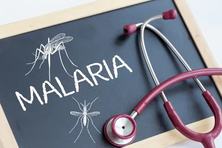 how is malaria transmitted from mosquitoes to humans