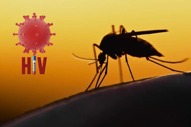 how long does hiv live in a mosquito