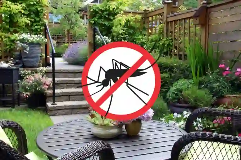 How to Banish Garden Mosquitoes: Effective Strategies