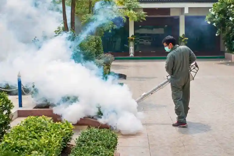 how to eliminate mosquitoes in yard