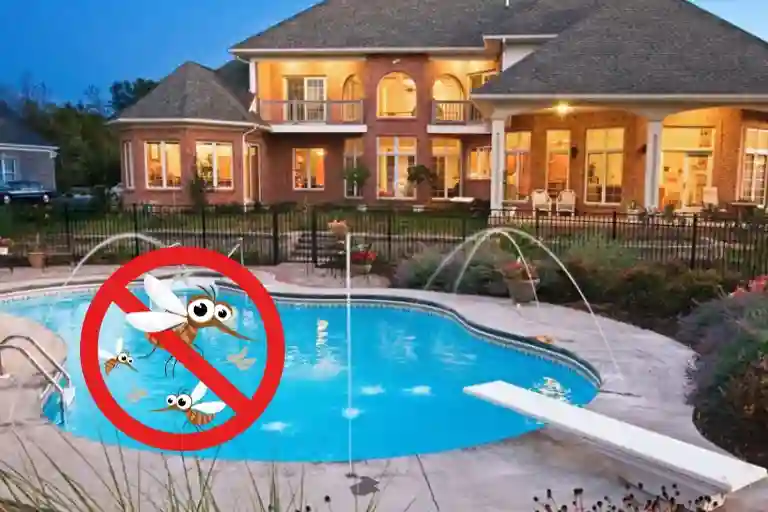 how to keep mosquitoes away from pool