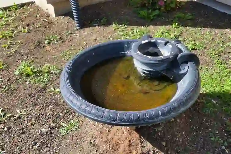 how to keep mosquitoes out of dog water