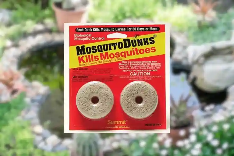 how to use mosquito dunks for fungus gnats