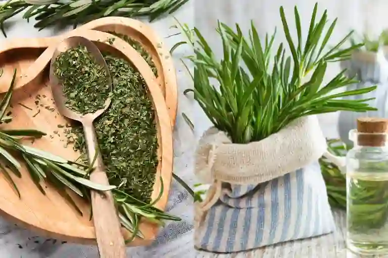how to use rosemary to repel mosquitoes