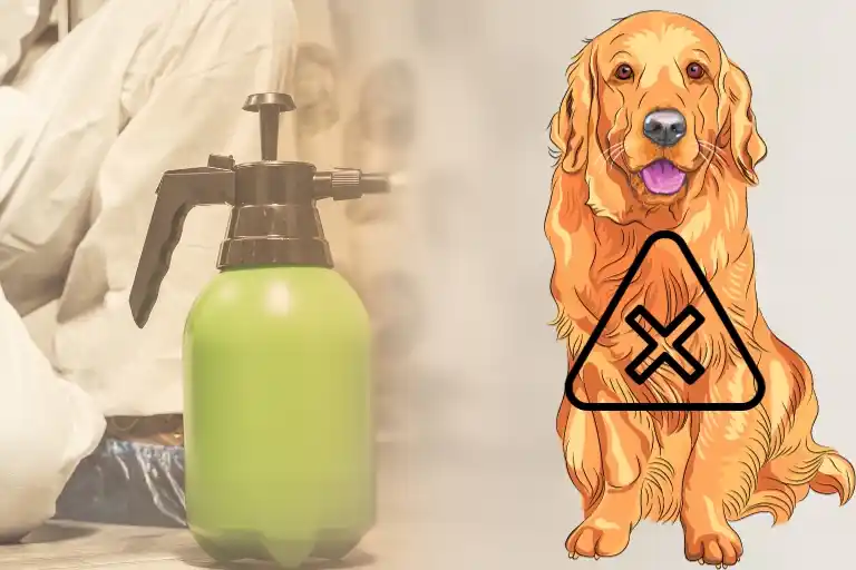 is cockroach spray harmful to dogs