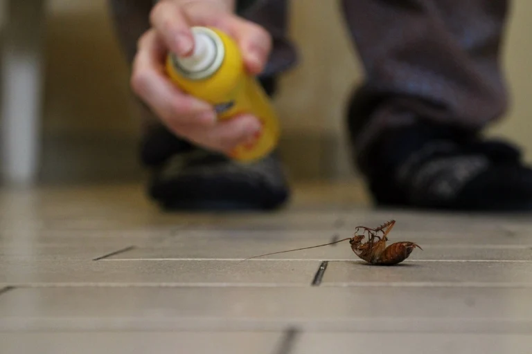 is cockroach spray harmful to humans