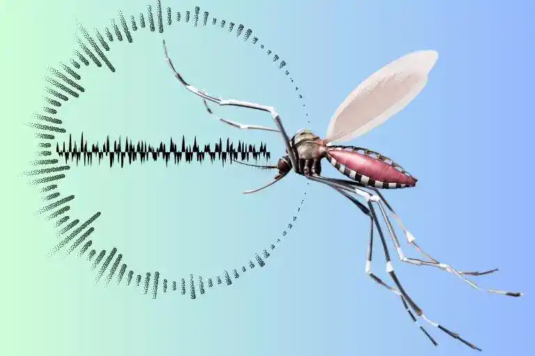 what does a mosquito sound like