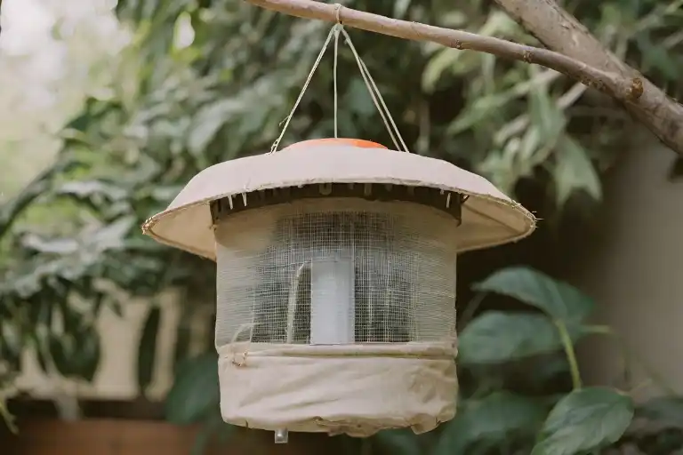 what is the best homemade mosquito trap