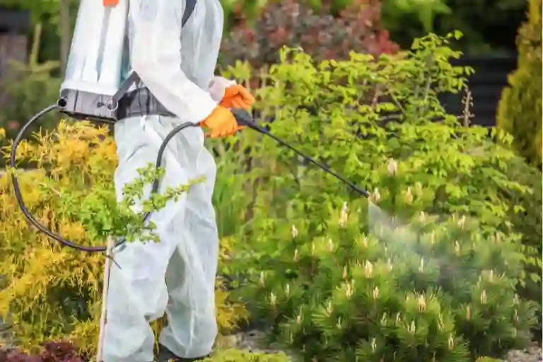 what is the best mosquito spray for yards