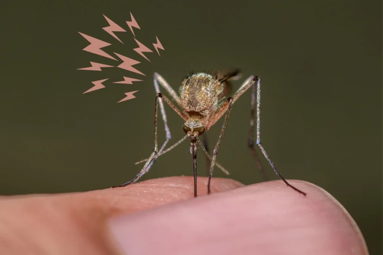 what sound does a mosquito make
