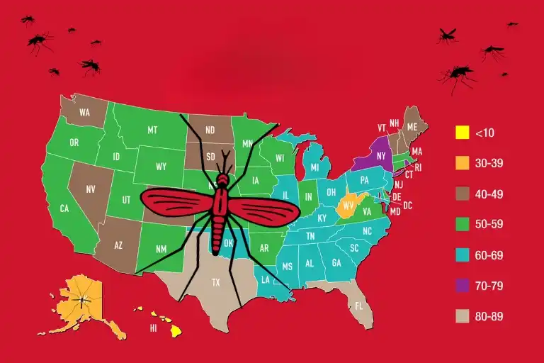 What States Have No Mosquitoes: Discover the Bug-Free Havens