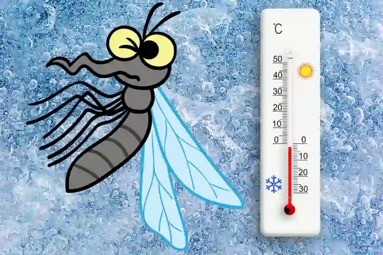 what temperature do mosquitoes die
