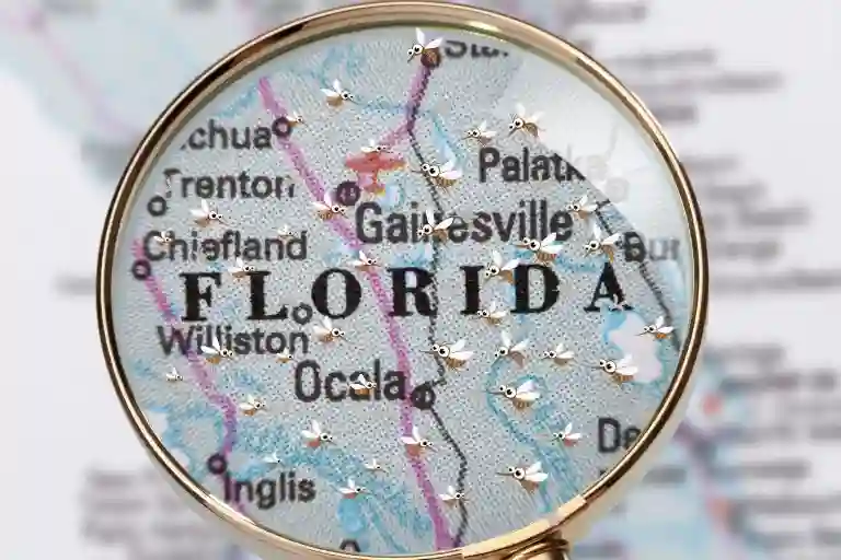 when are mosquitoes most active in florida