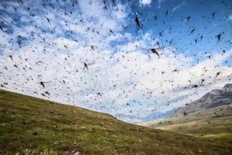 when are the mosquitoes the worst in alaska