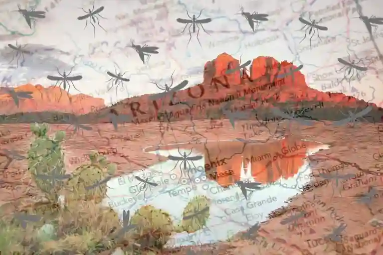 when do mosquitoes emerge in arizona
