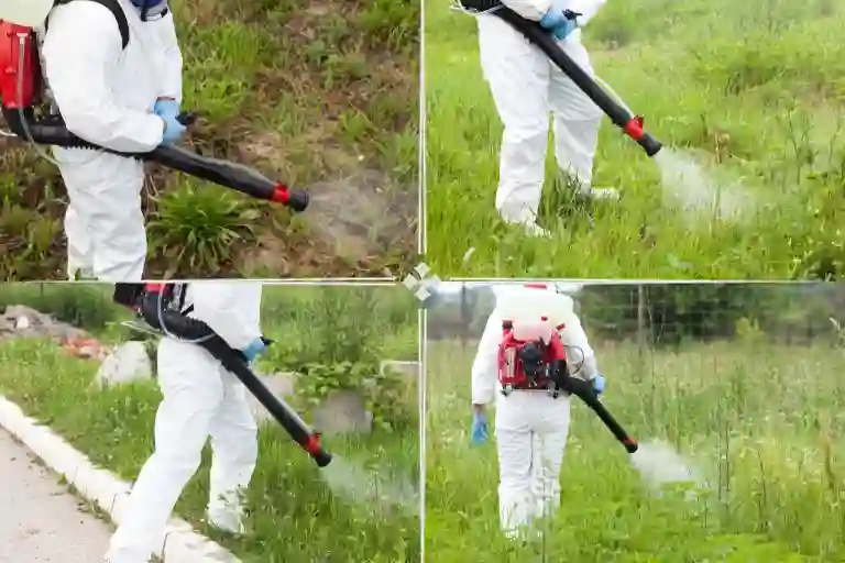 when to start spraying for mosquitoes
